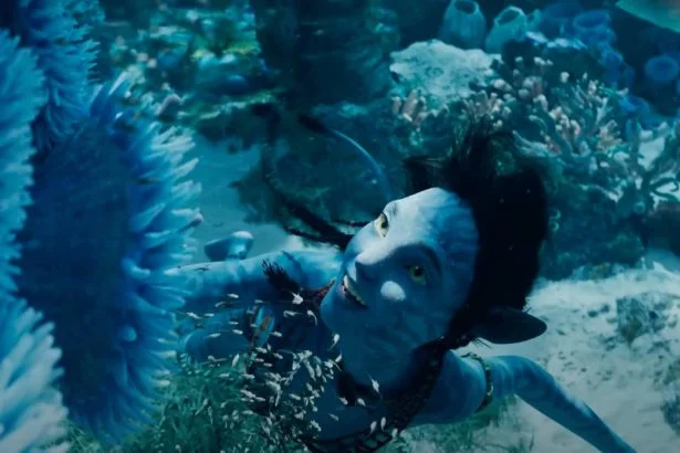Avatar: A víz útja