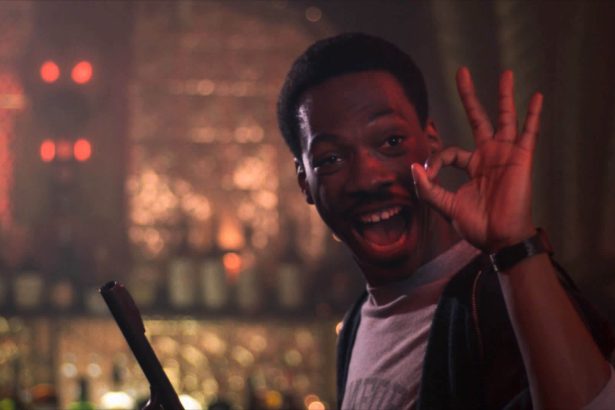 Beverly Hills-i zsaru