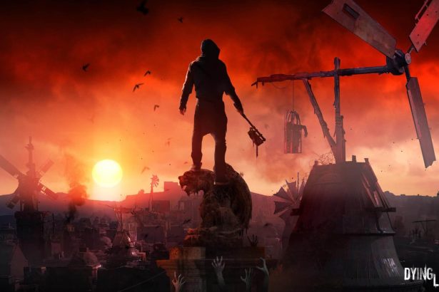 ws diii 210124 073212