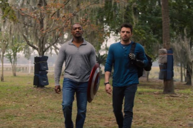 The Falcon and the Winter Soldier