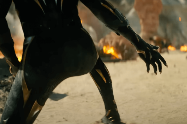 Fekete Párduc: Vakanda, légy áldott!