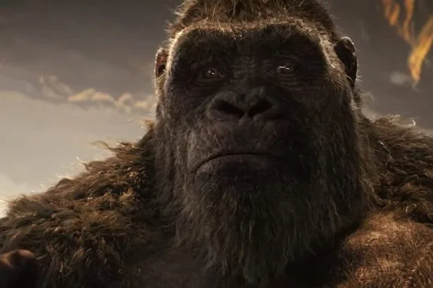 Godzilla Kong ellen