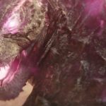 Godzilla x Kong: The New Empire