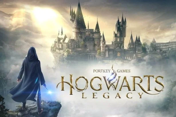 ws hog 210113 094926