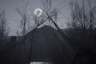 ws horror story 210226 121034