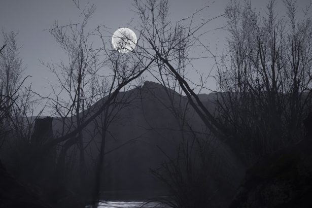 ws horror story 210226 121034