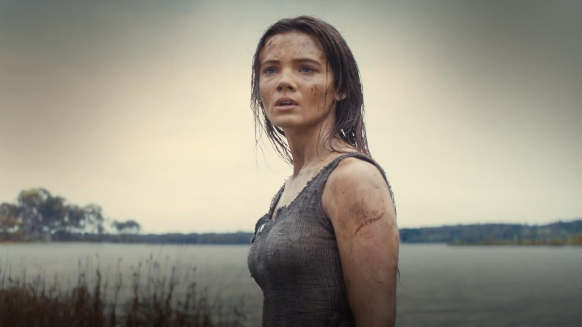 A majmok bolygója: A birodalom