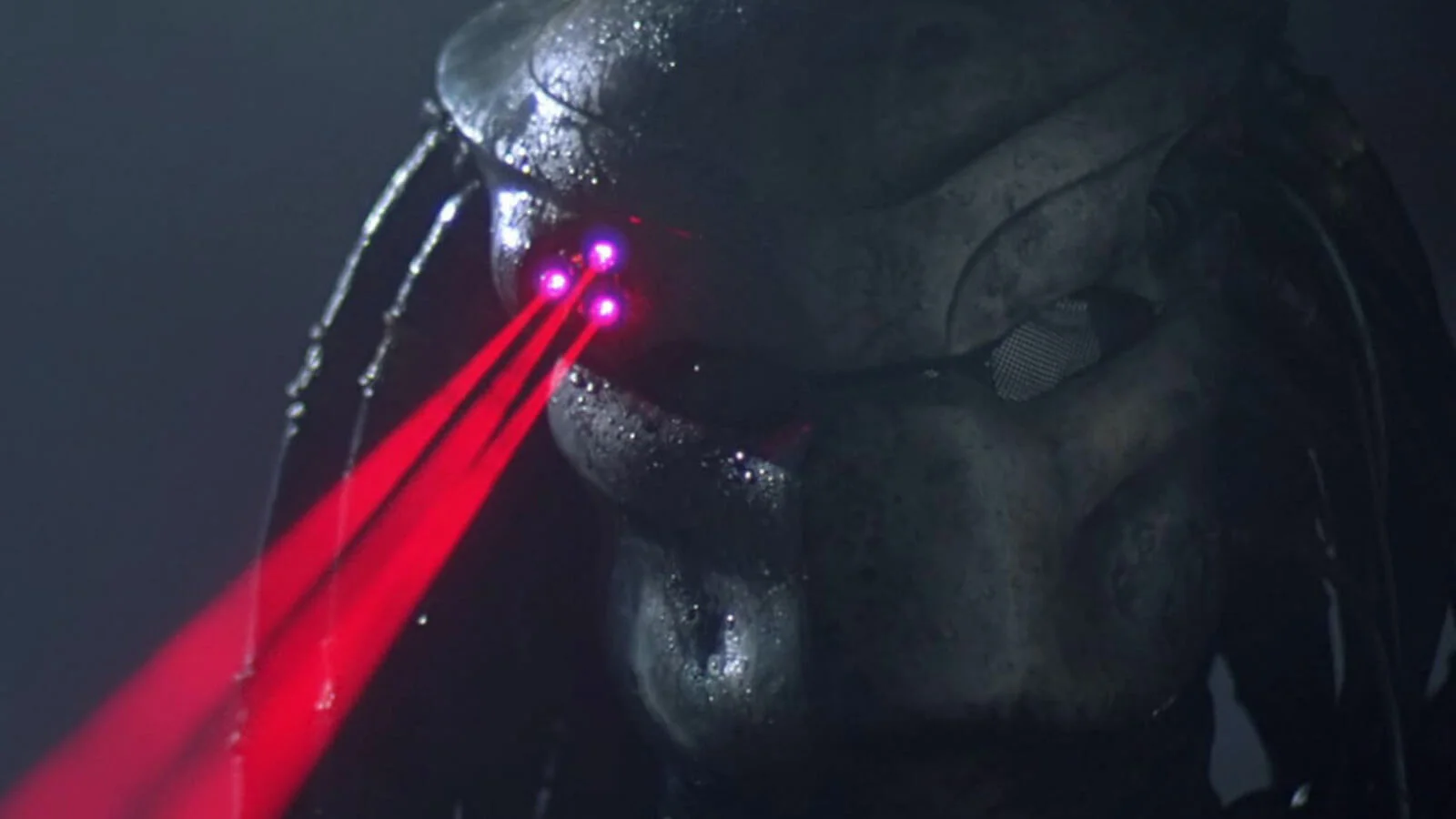 Predator