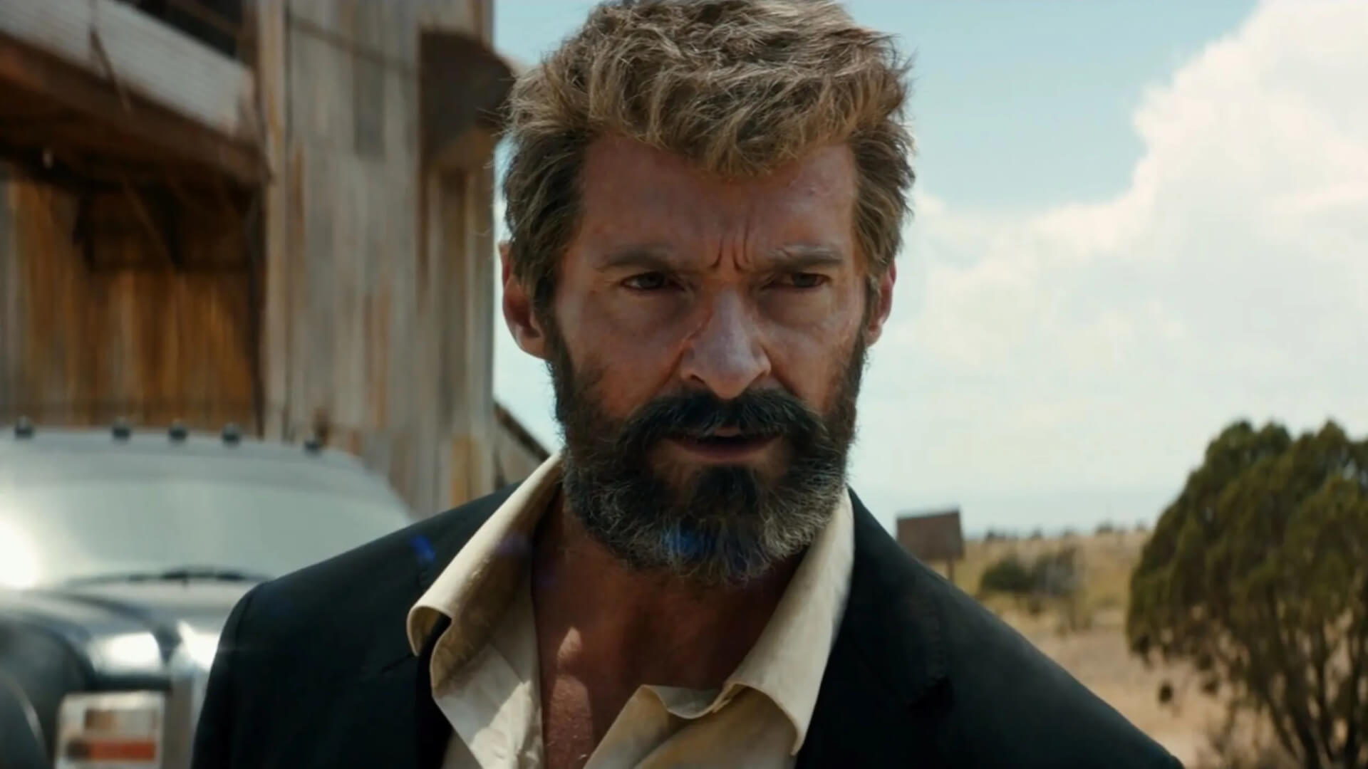 Logan - Farkas