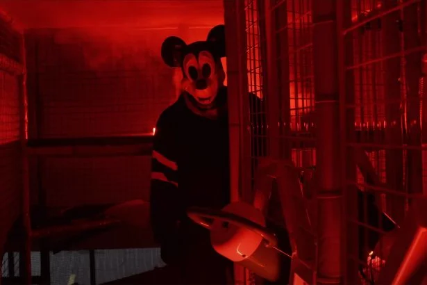 Mickey's Mouse Trap