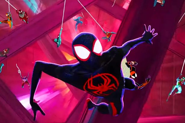 Pókember: A Pókverzumon át