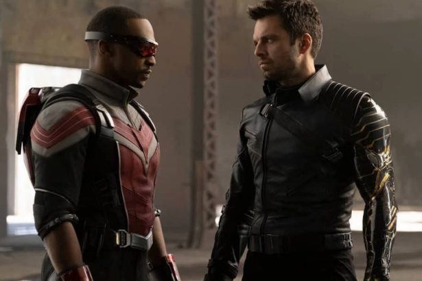 The Falcon and the Winter Soldier