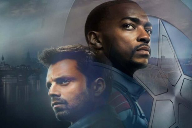 The Falcon and the Winter Soldier