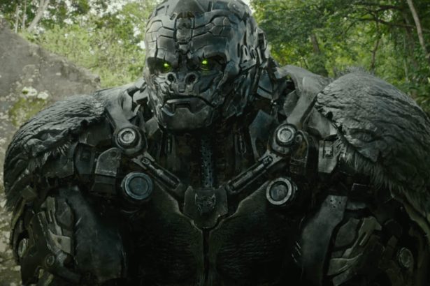 Transformers: A fenevadak kora