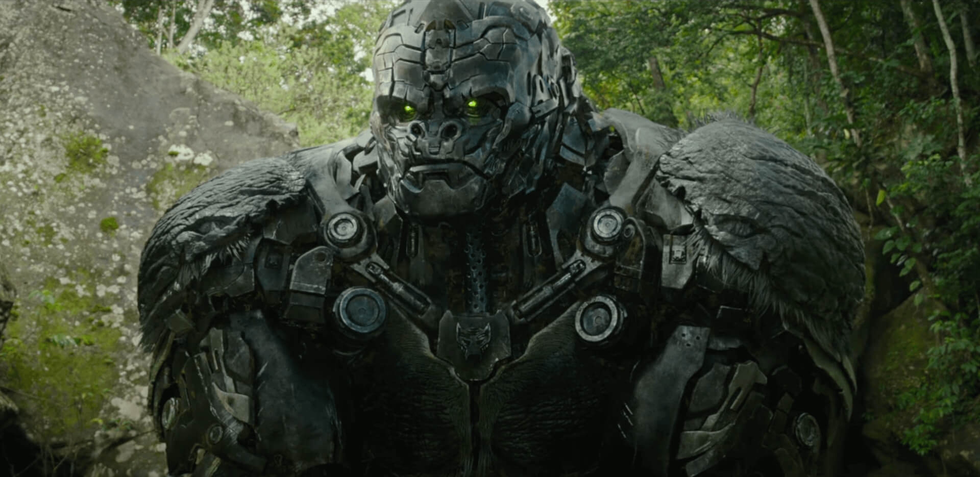 Transformers: A fenevadak kora