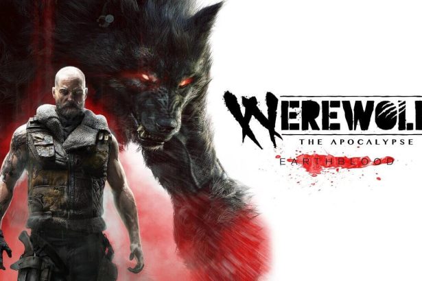 ws weree 210204 062749