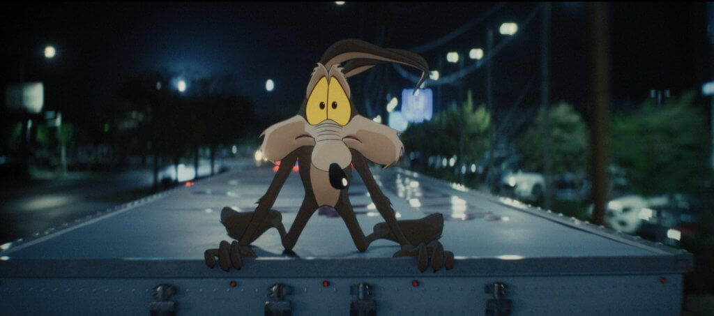 Coyote vs. Acme