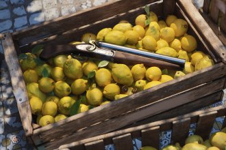 Mafia: The Old Country