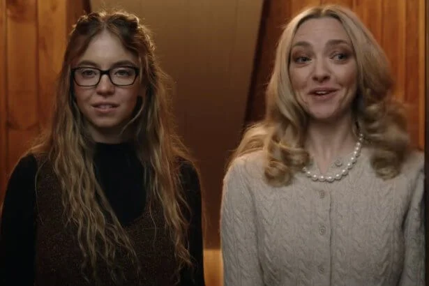 The Housemaid - A téboly otthona