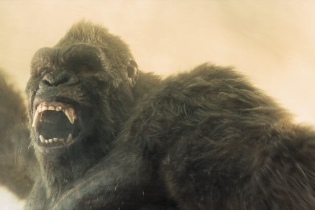 Monarch: A szörnyek hagyatéka