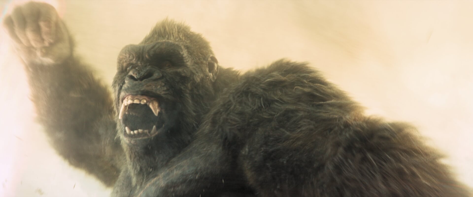 Monarch: A szörnyek hagyatéka