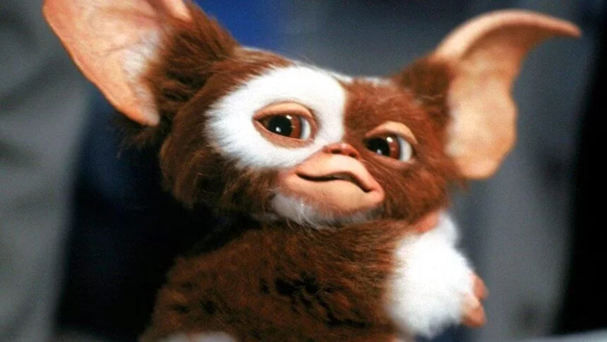 ws gremlins gizmo 251106 052602