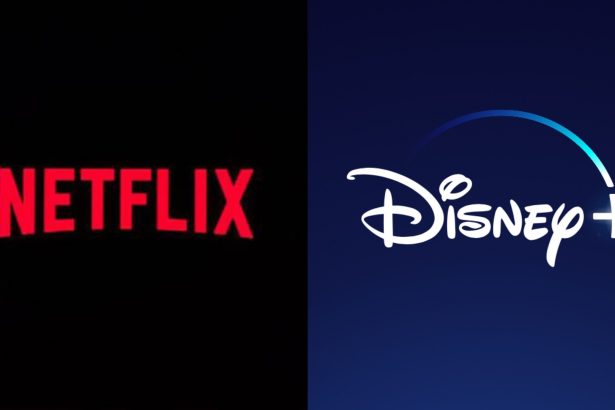 Netflix Disney