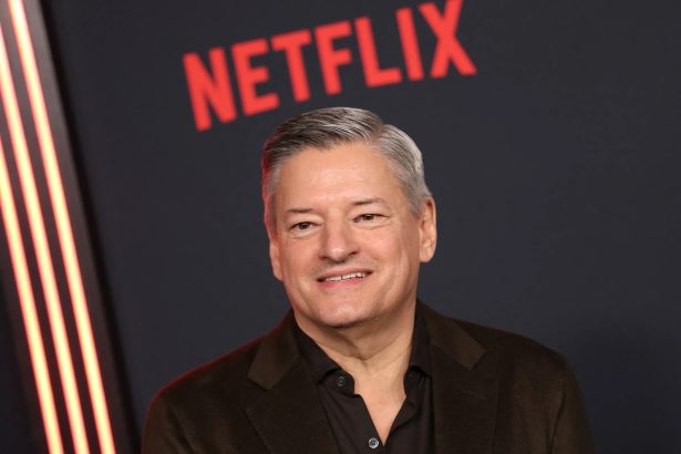 Netflix Ted Sandaros