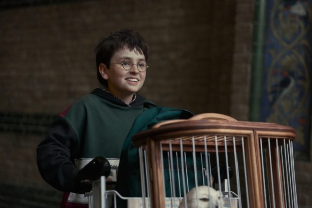 Hosszú várakozásra készítheti fel a rajongókat az új Harry Potter-sorozat 14 Harry Potter