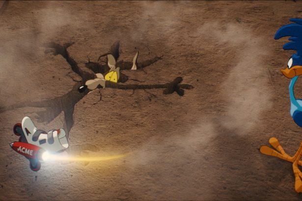 Coyote vs. Acme
