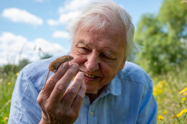 David Attenborough