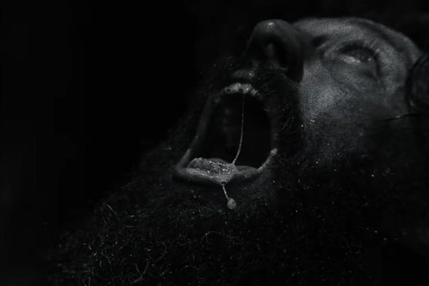 Megérkezett Robert Eggers új horrorfilmje, a Werwulf első előzetese 20 Werwulf