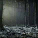 Werwulf