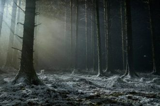Werwulf
