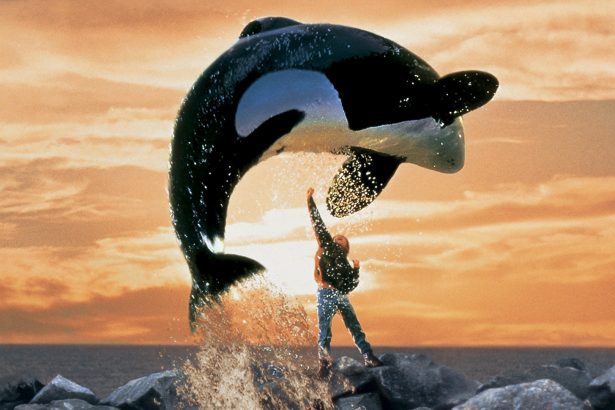 A Russo fivérek rebootolják a Szabadítsátok ki Willyt! 12 Free Willy