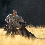 Belépőket nyerhettek A vadon szíve premier előtti vetítésére 2 Heart of the Beast