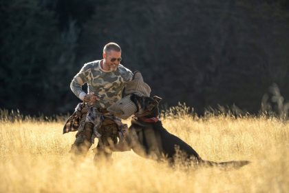 Belépőket nyerhettek A vadon szíve premier előtti vetítésére 32 Heart of the Beast