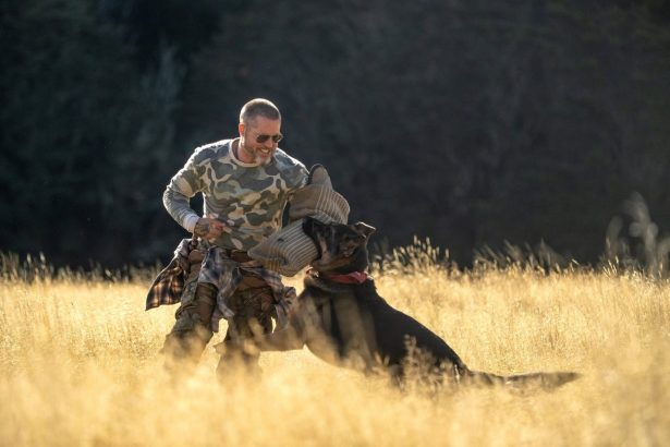 Belépőket nyerhettek A vadon szíve premier előtti vetítésére 61 Heart of the Beast