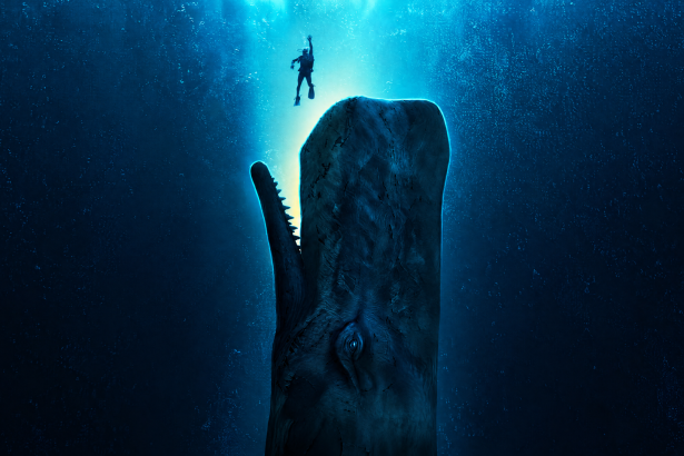 Bálnahullás - Kritika 14 Whalefall